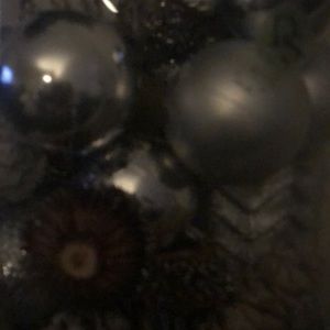 Meet your Posher, Bicky